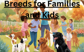 7 of the Best Dog Breeds for Families and Kids